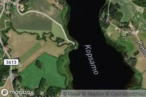 Rauhianoja