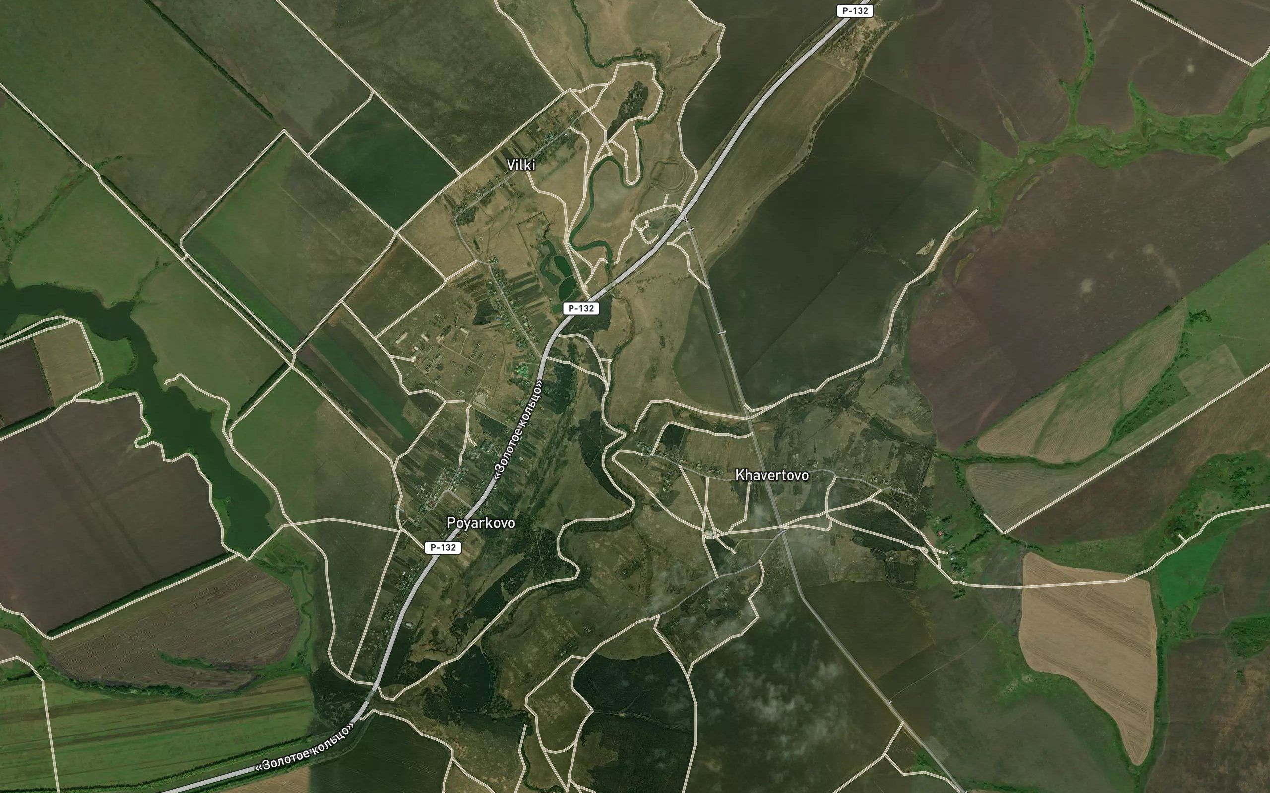 Lyutik