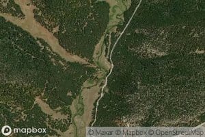 Turkey Creek