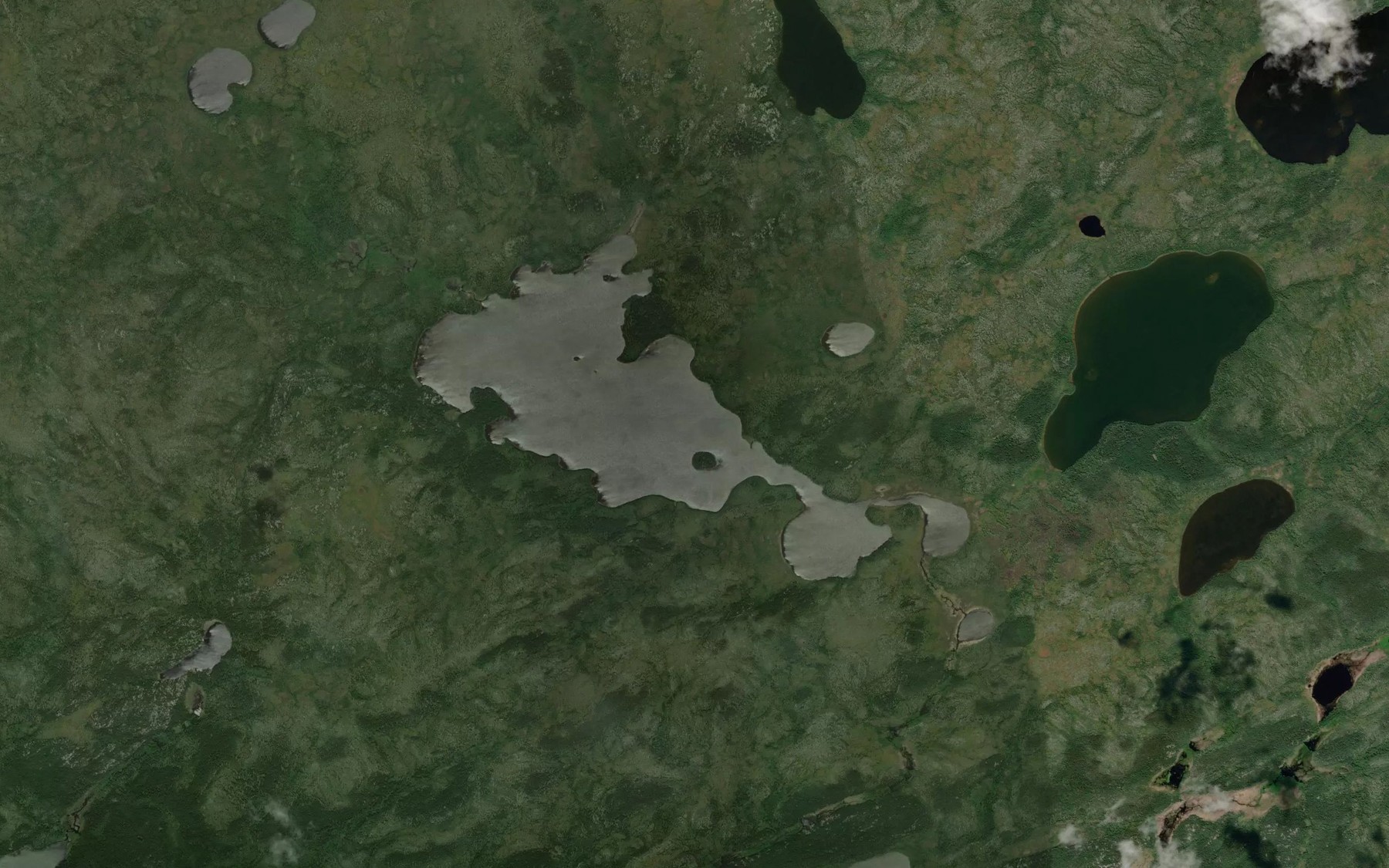 Satellite map of the Albert Brown Lake