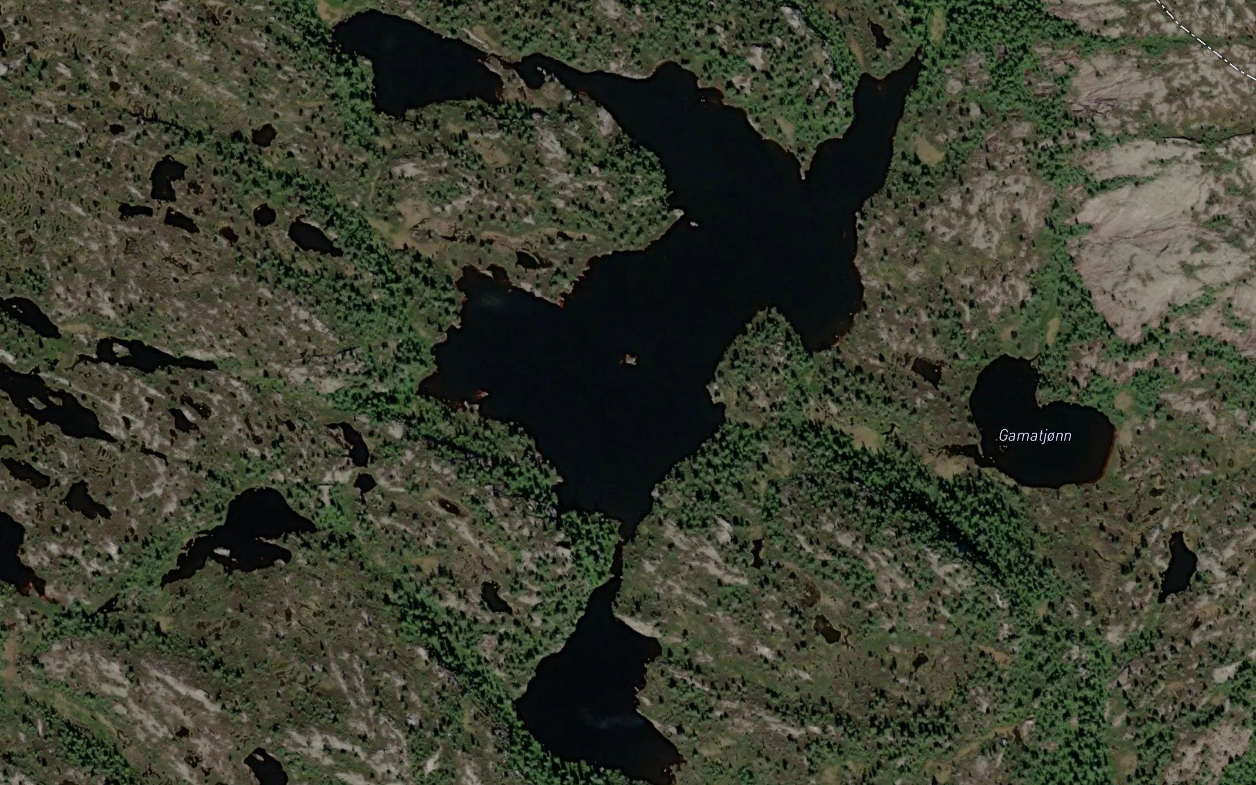 Nilsetjorn
