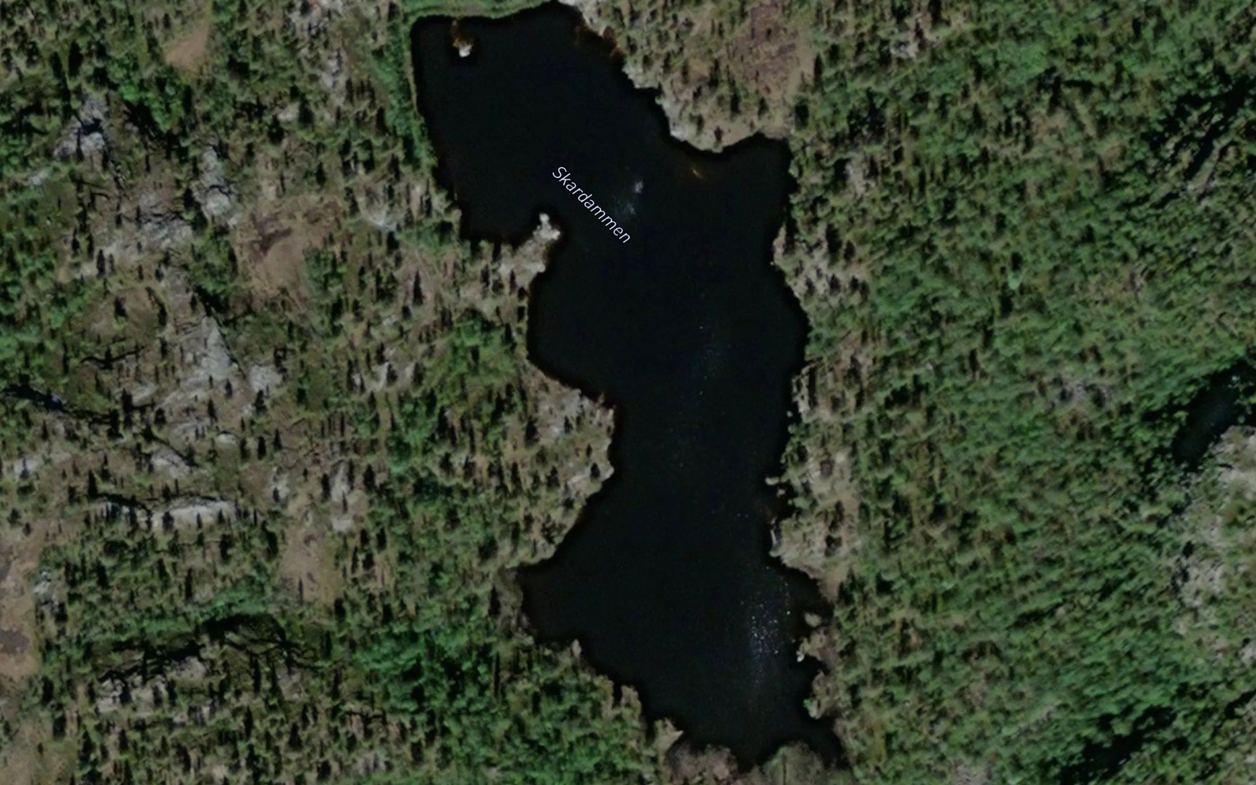 Skarddammen