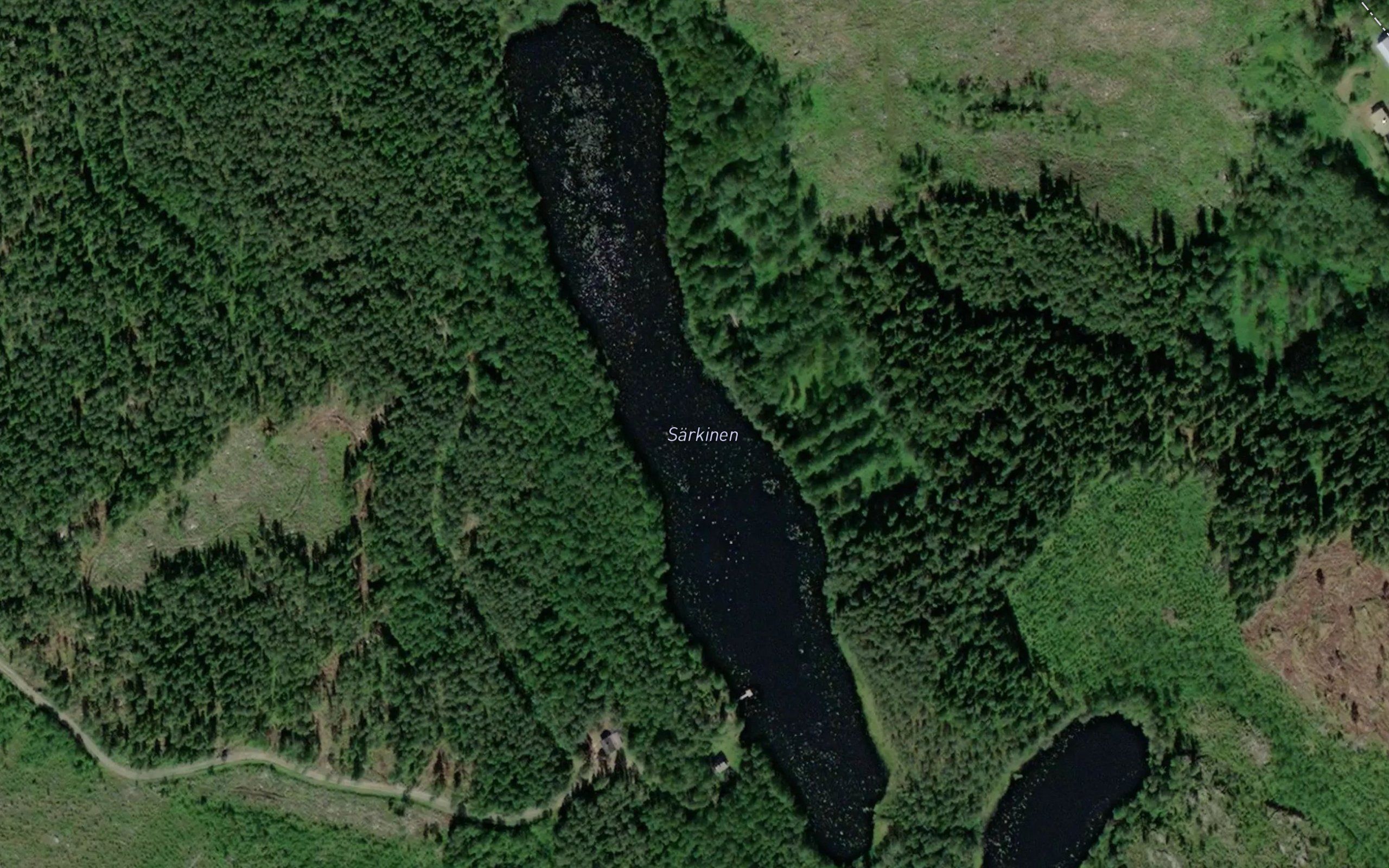 Sarkinen