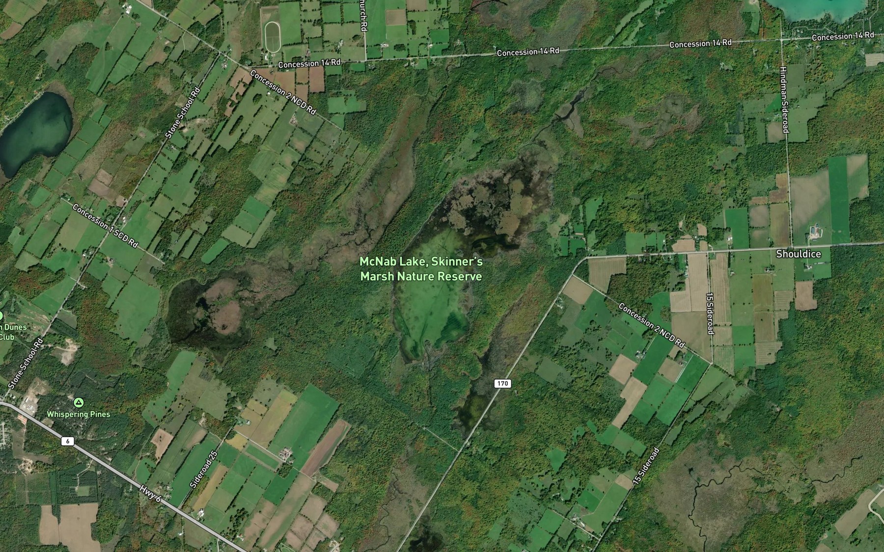 Satellite map of the McNab Lake