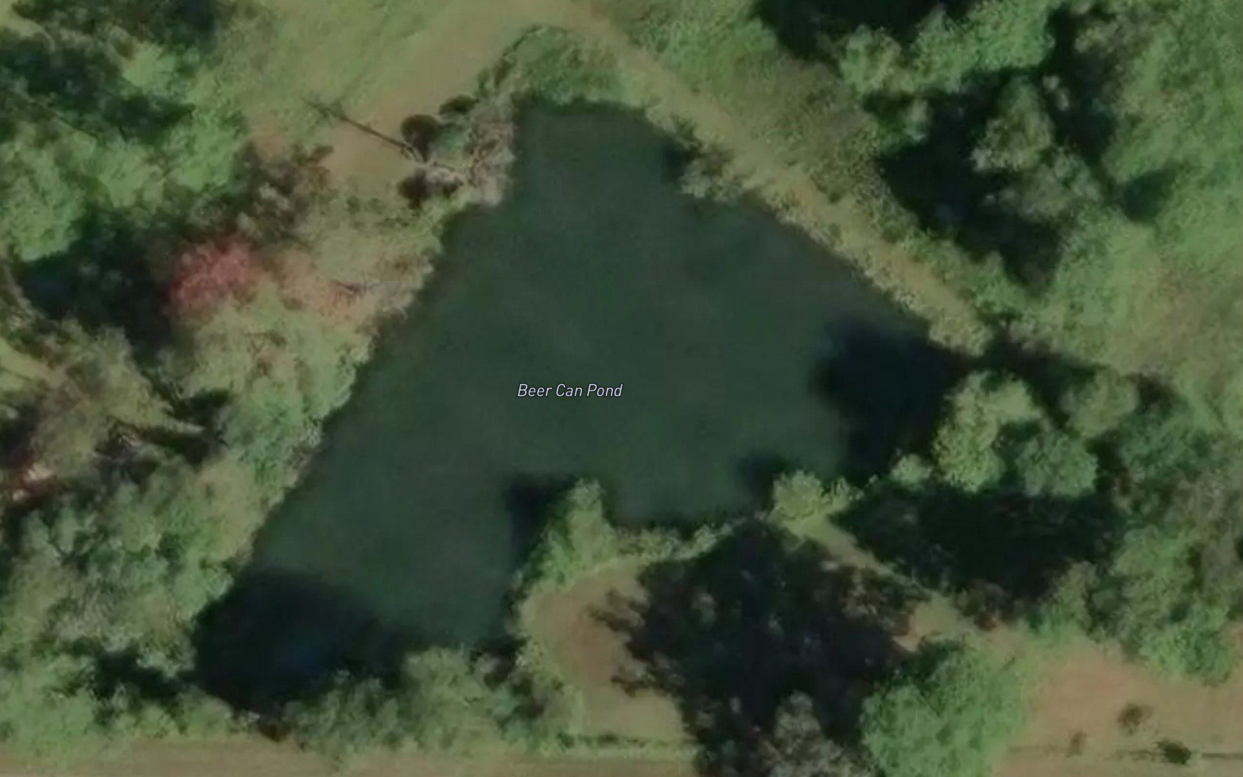 Beer Can Pond