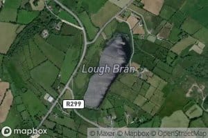 Bran Lough