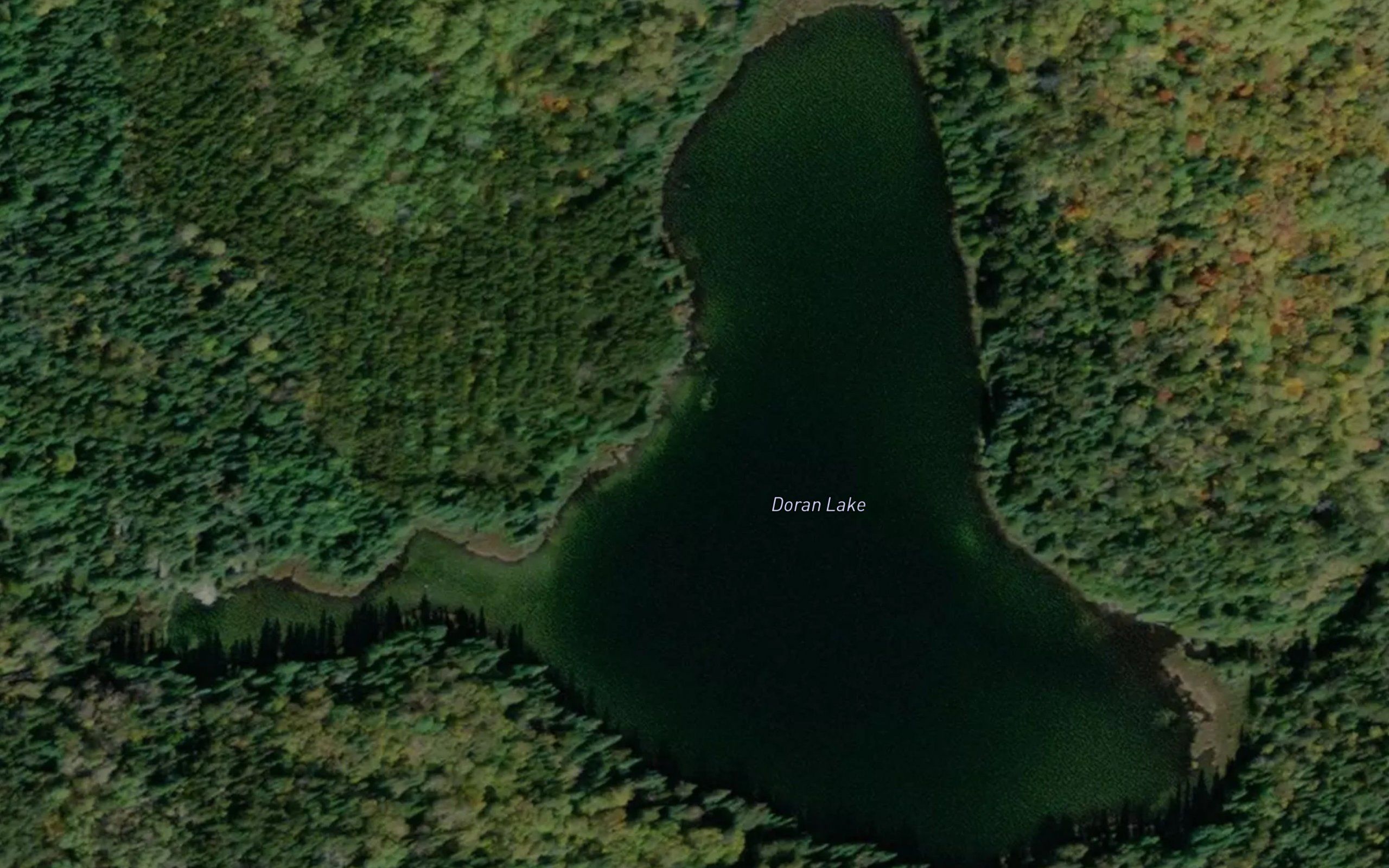 Doran Lake