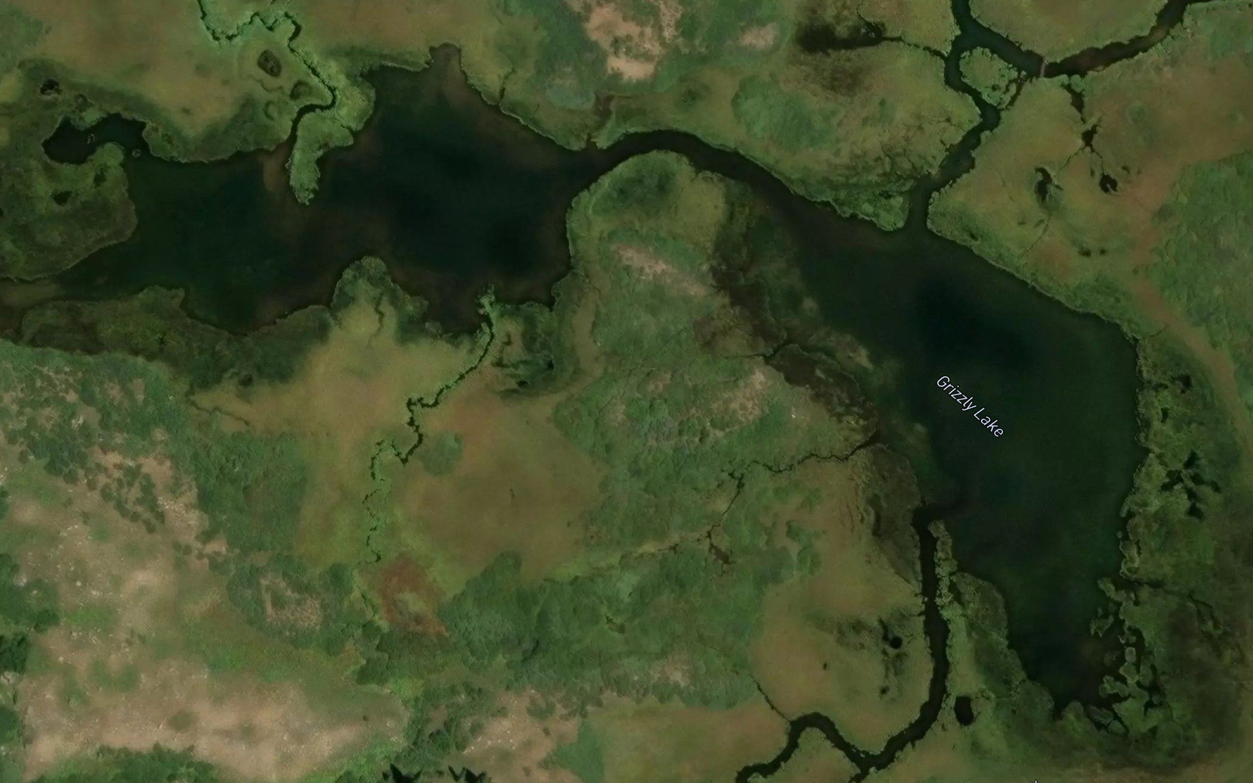 Grizzly Lake