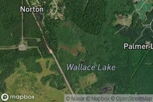 Wallace Lake