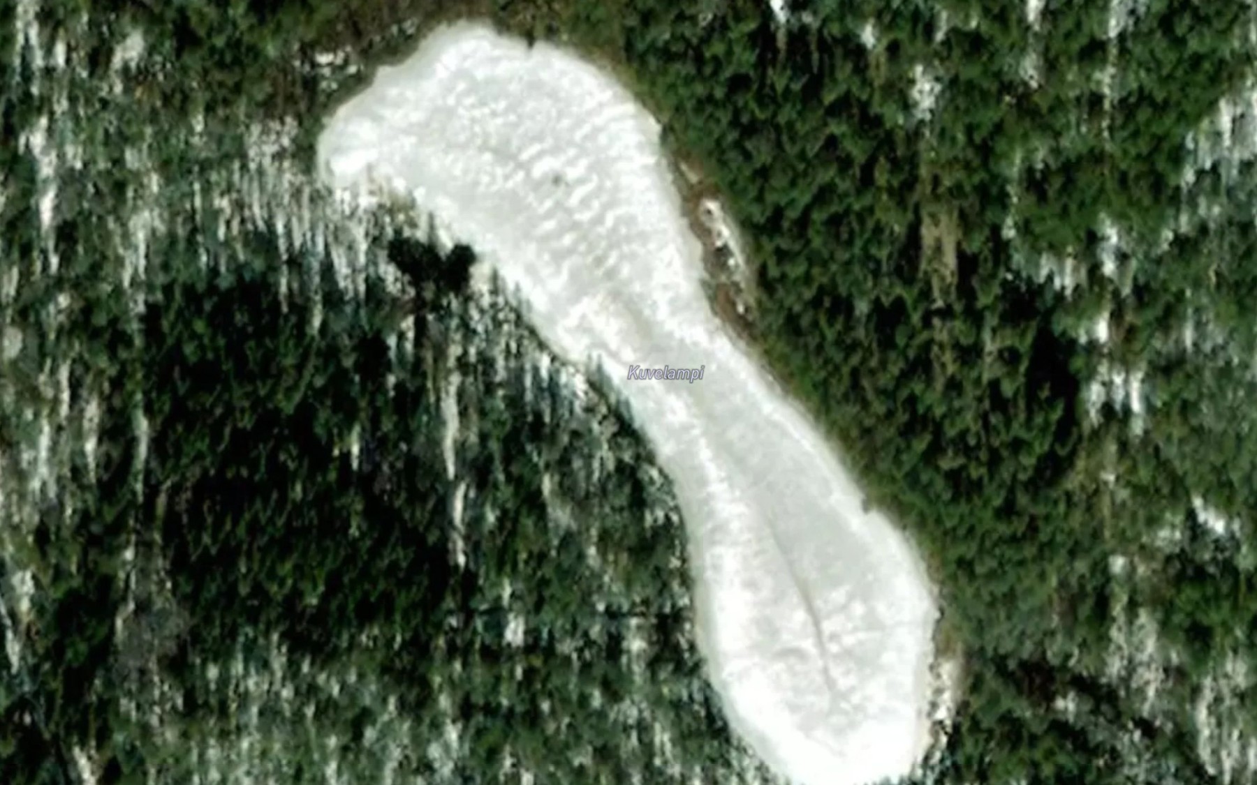 Satellite map of the Kuvelampi