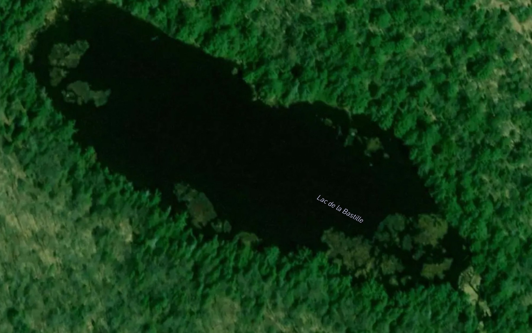 Satellite map of the Lac de la Bastille