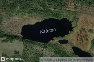 Kaleton