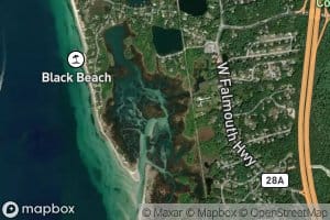 Quahog Pond