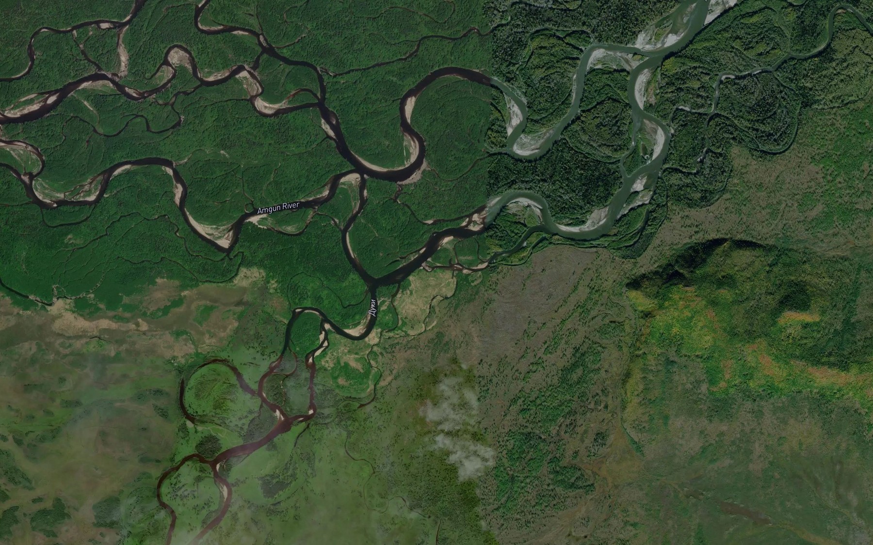 Satellite map of the Bolotnyy