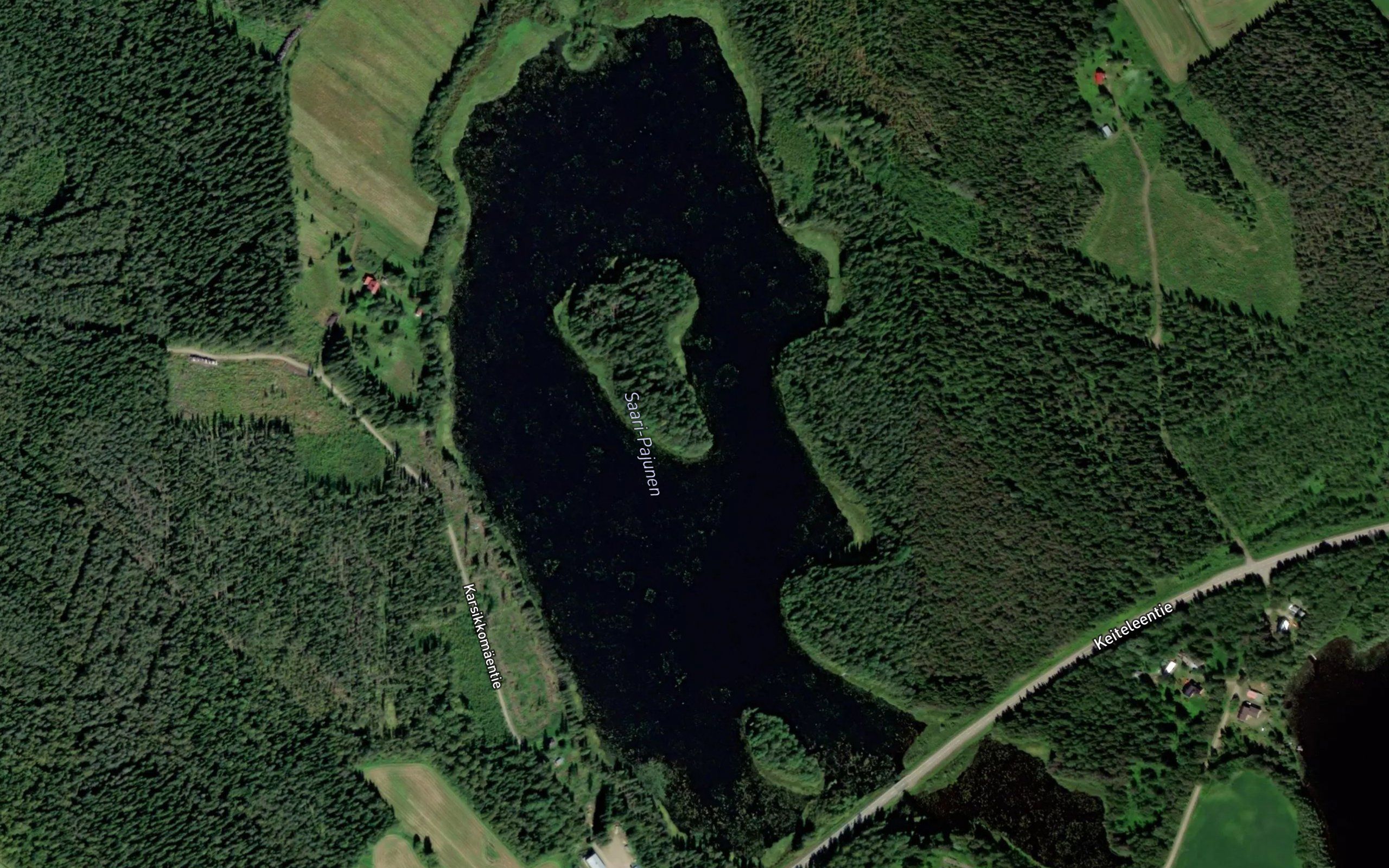 Saari-Pajunen
