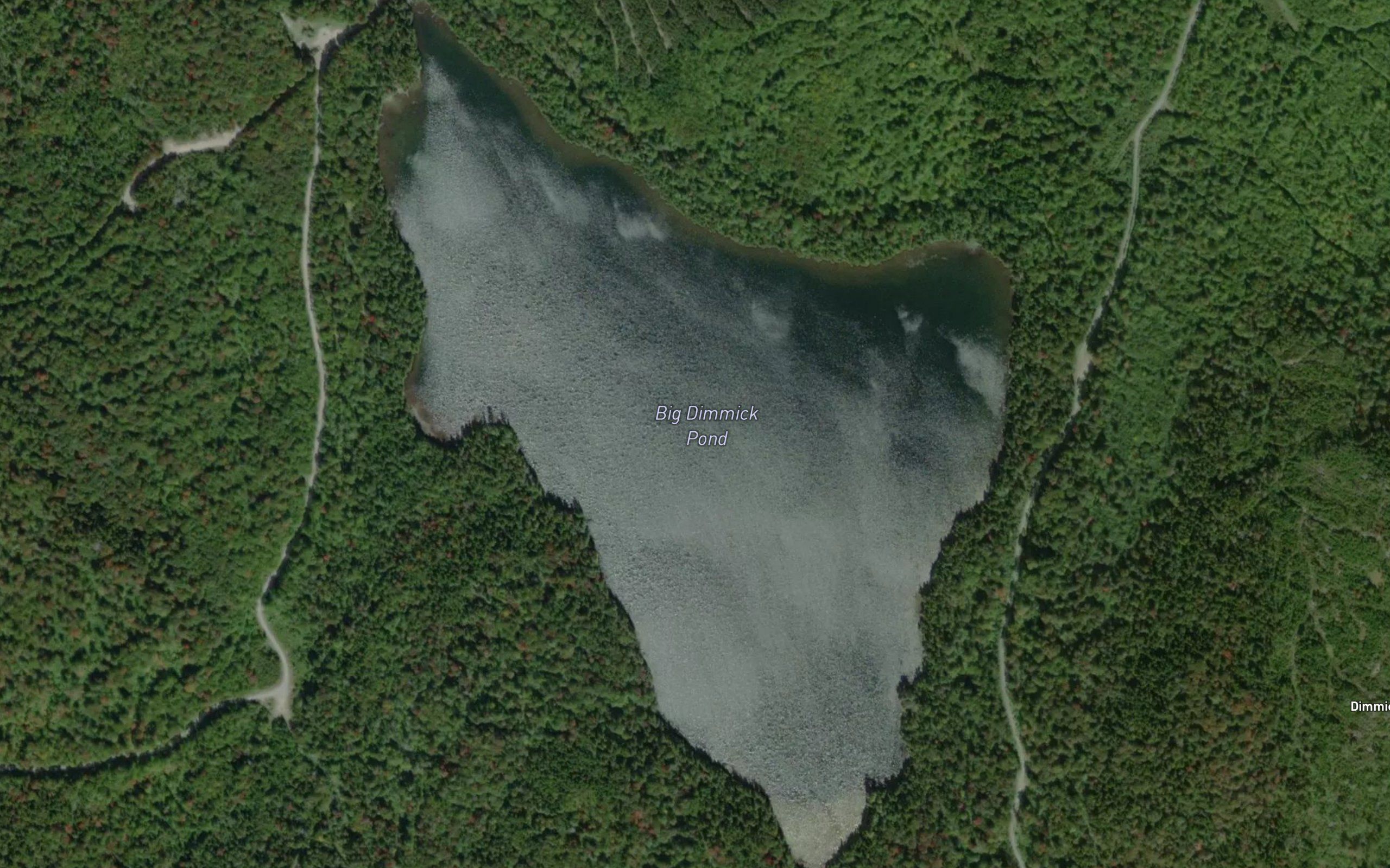 Big Dimmick Pond