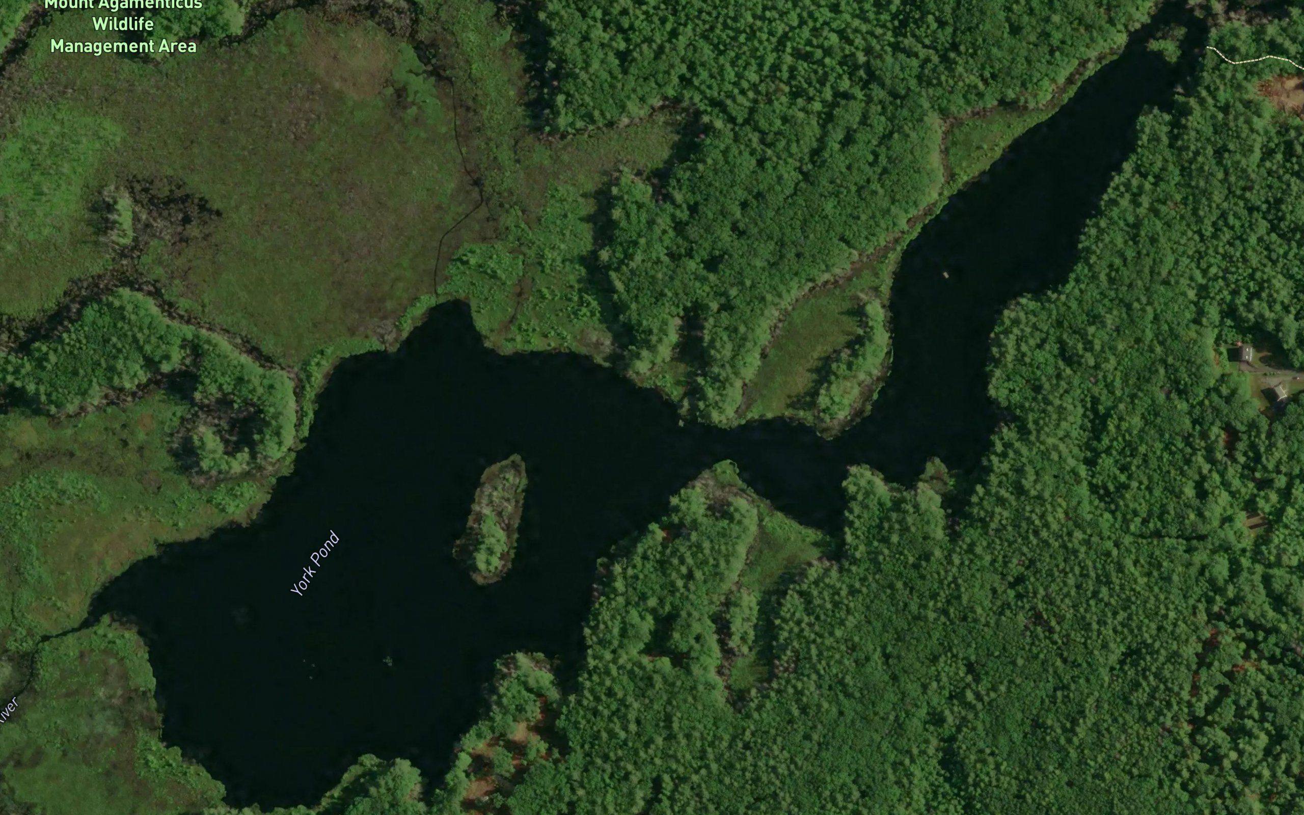 York Pond