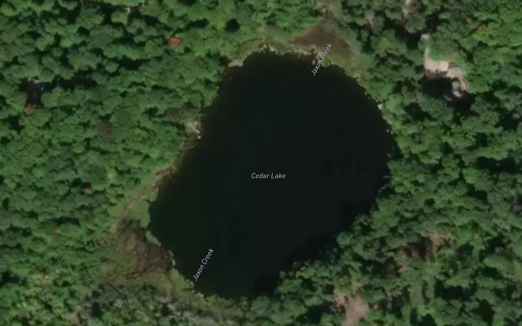 Satellite map of the Cedar Lake