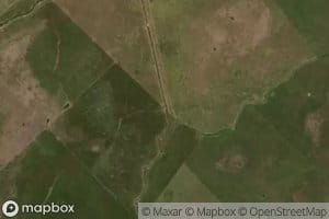 Canal Numero Catorce