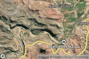 Rio Maiza
