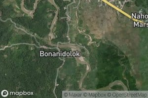 Aek Botik