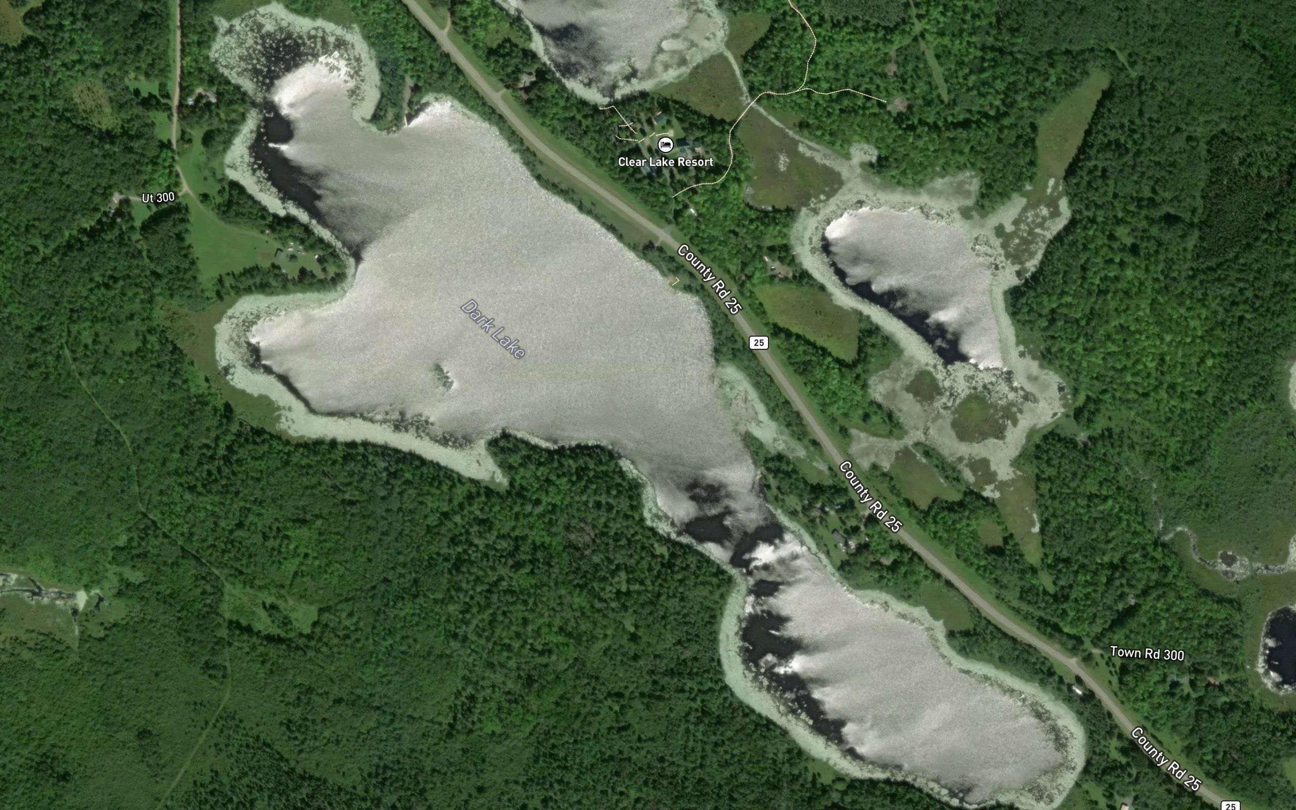 Dark Lake