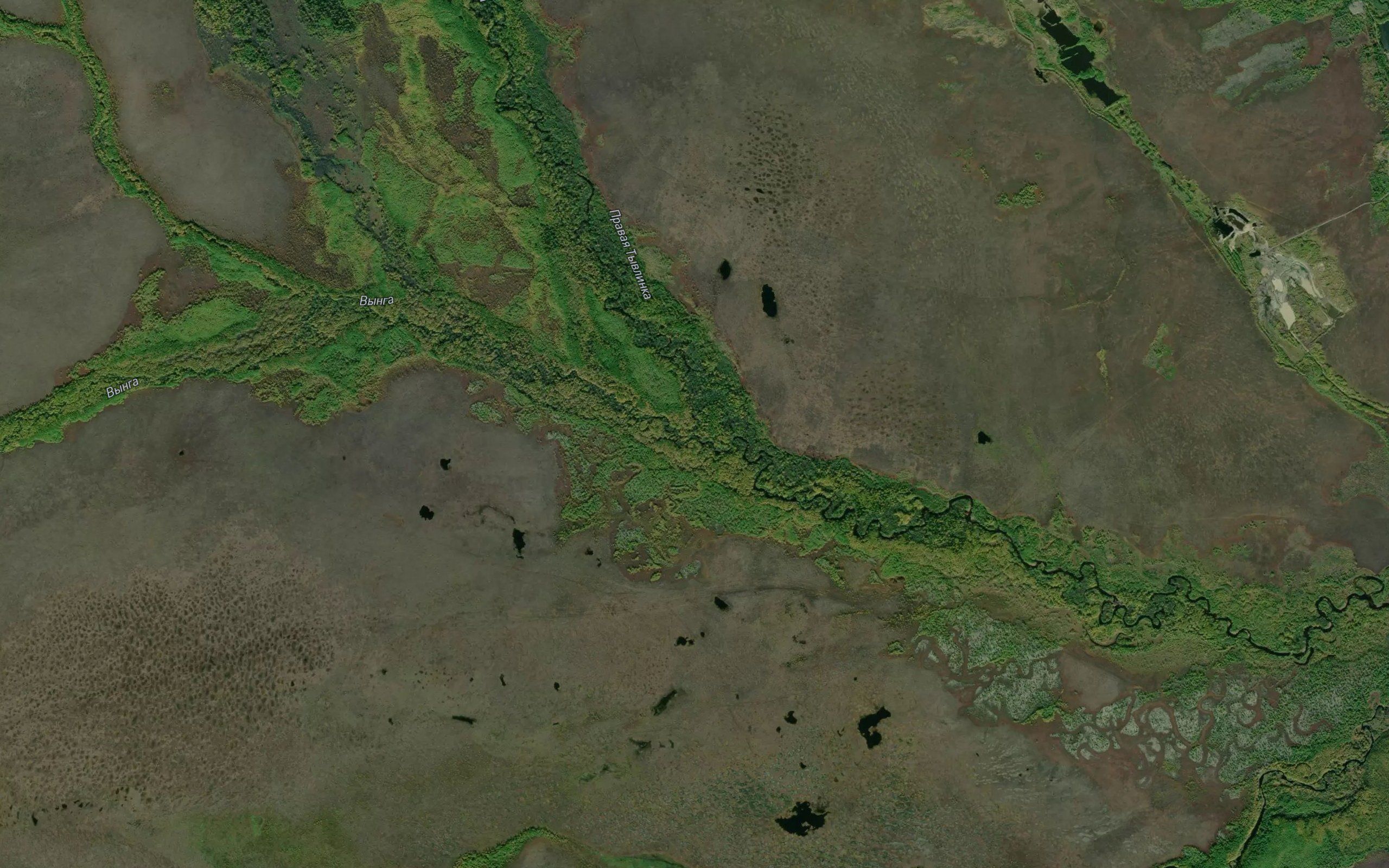 Vynga