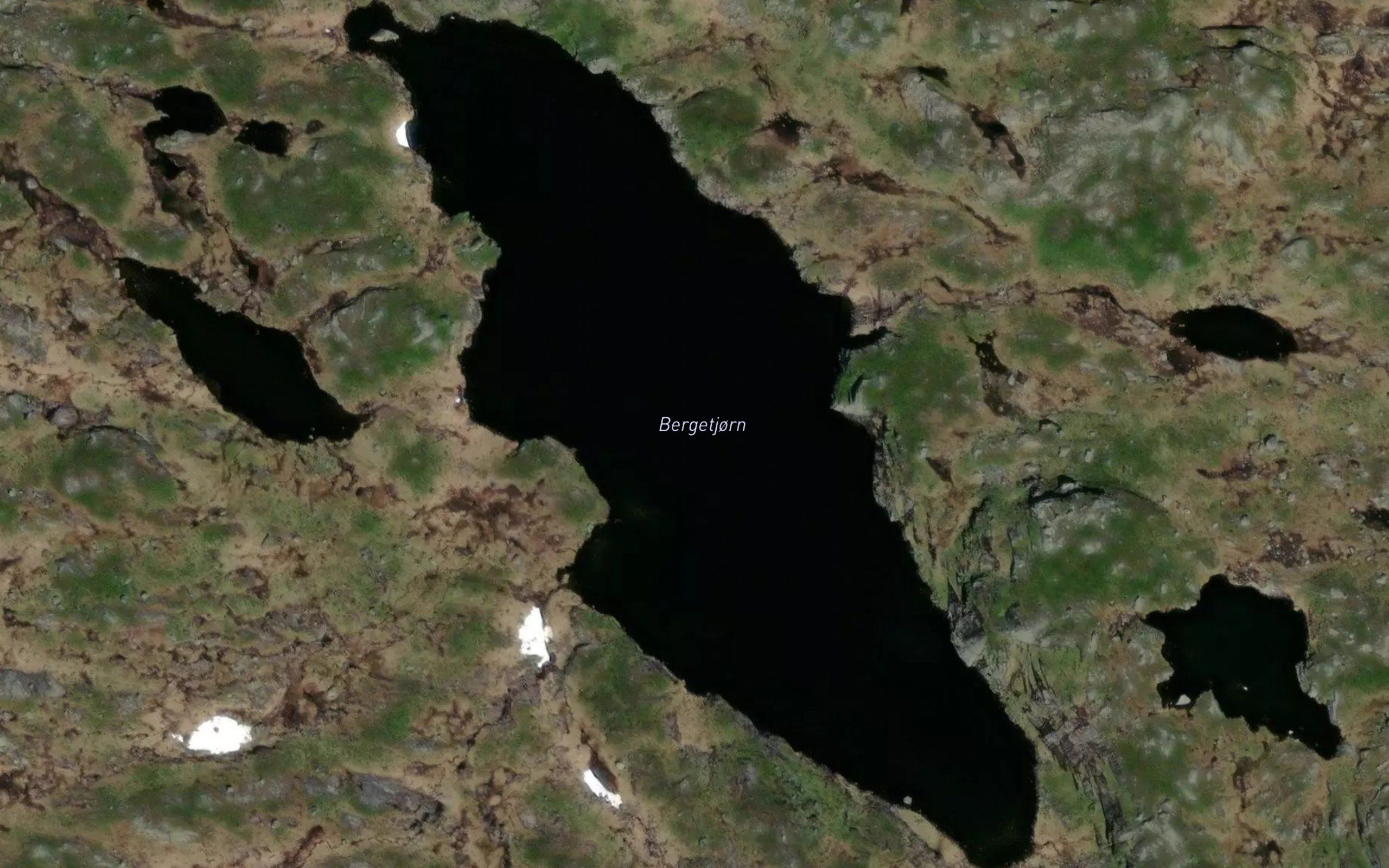 Bergetjorn