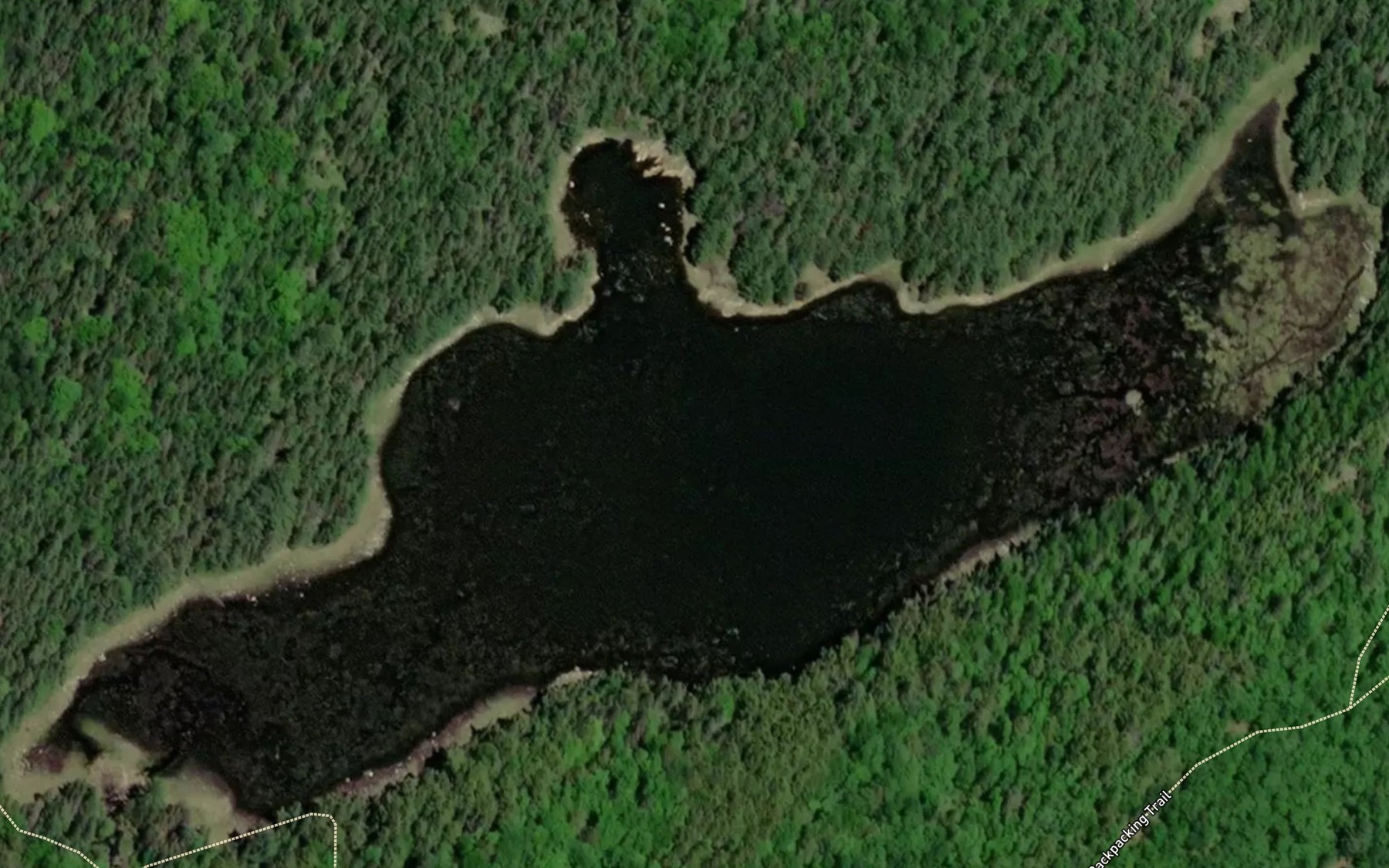 Satellite map of the Starling Lake