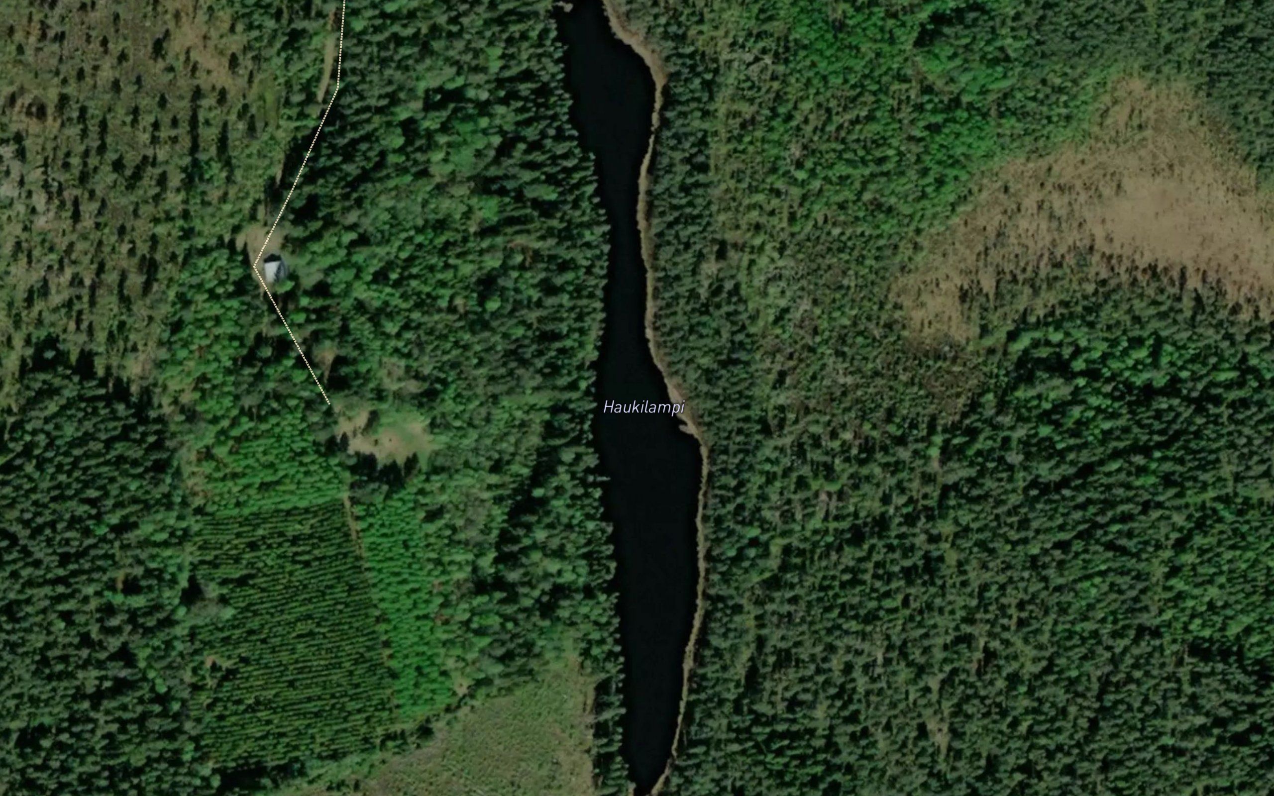 Haukilampi