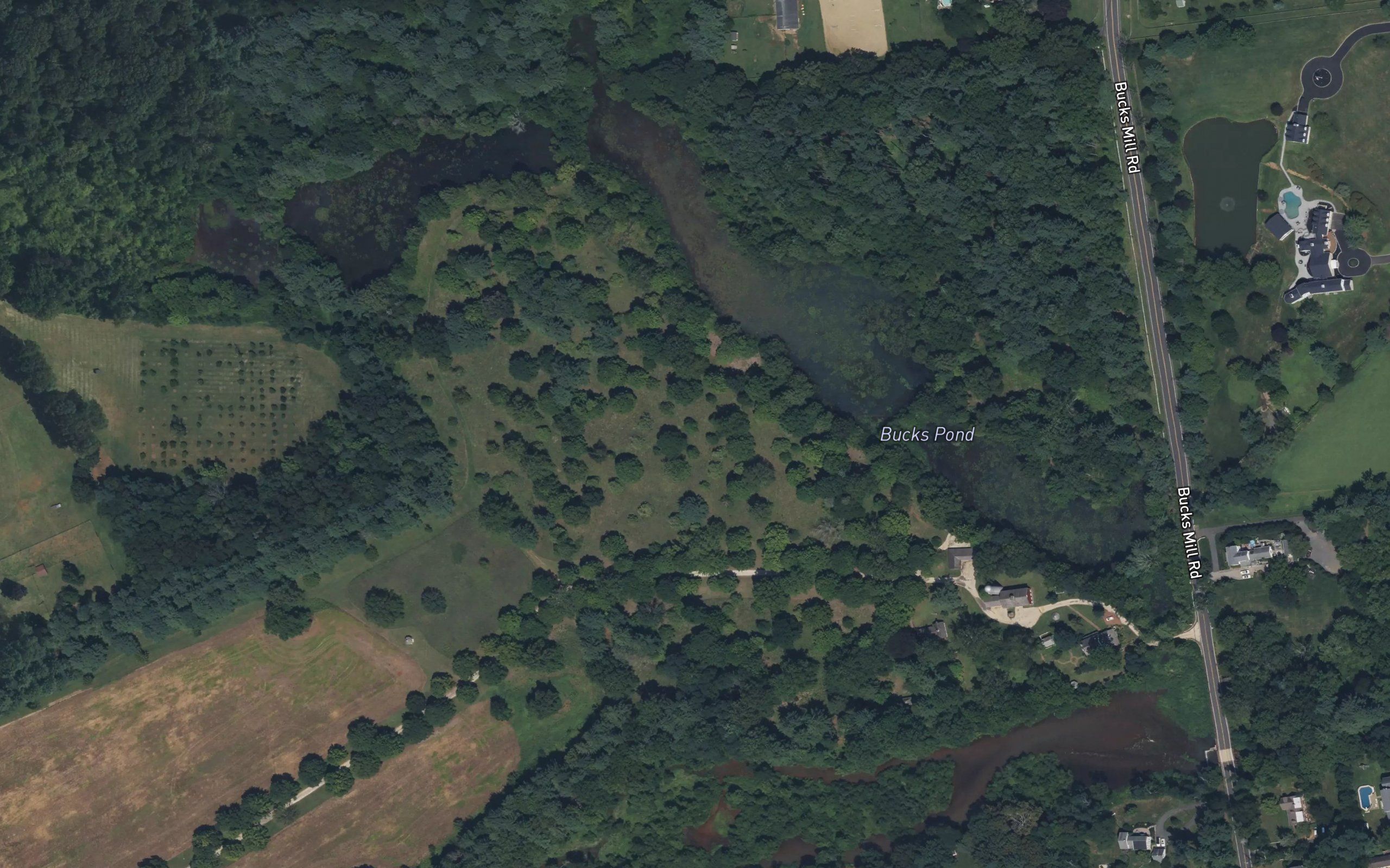 Bucks Pond