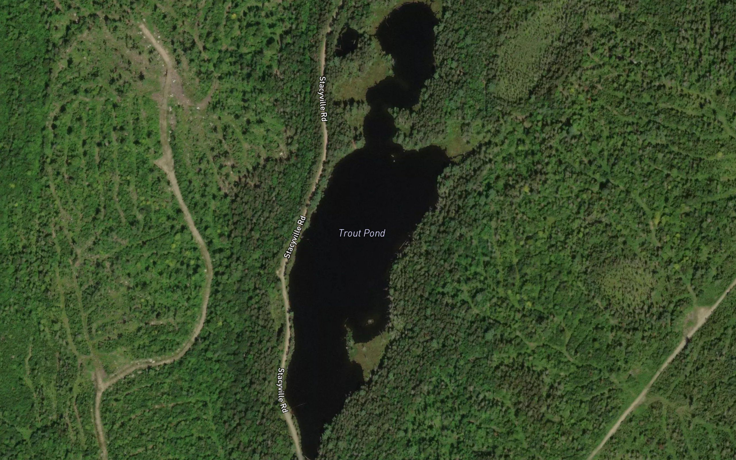 Trout Pond