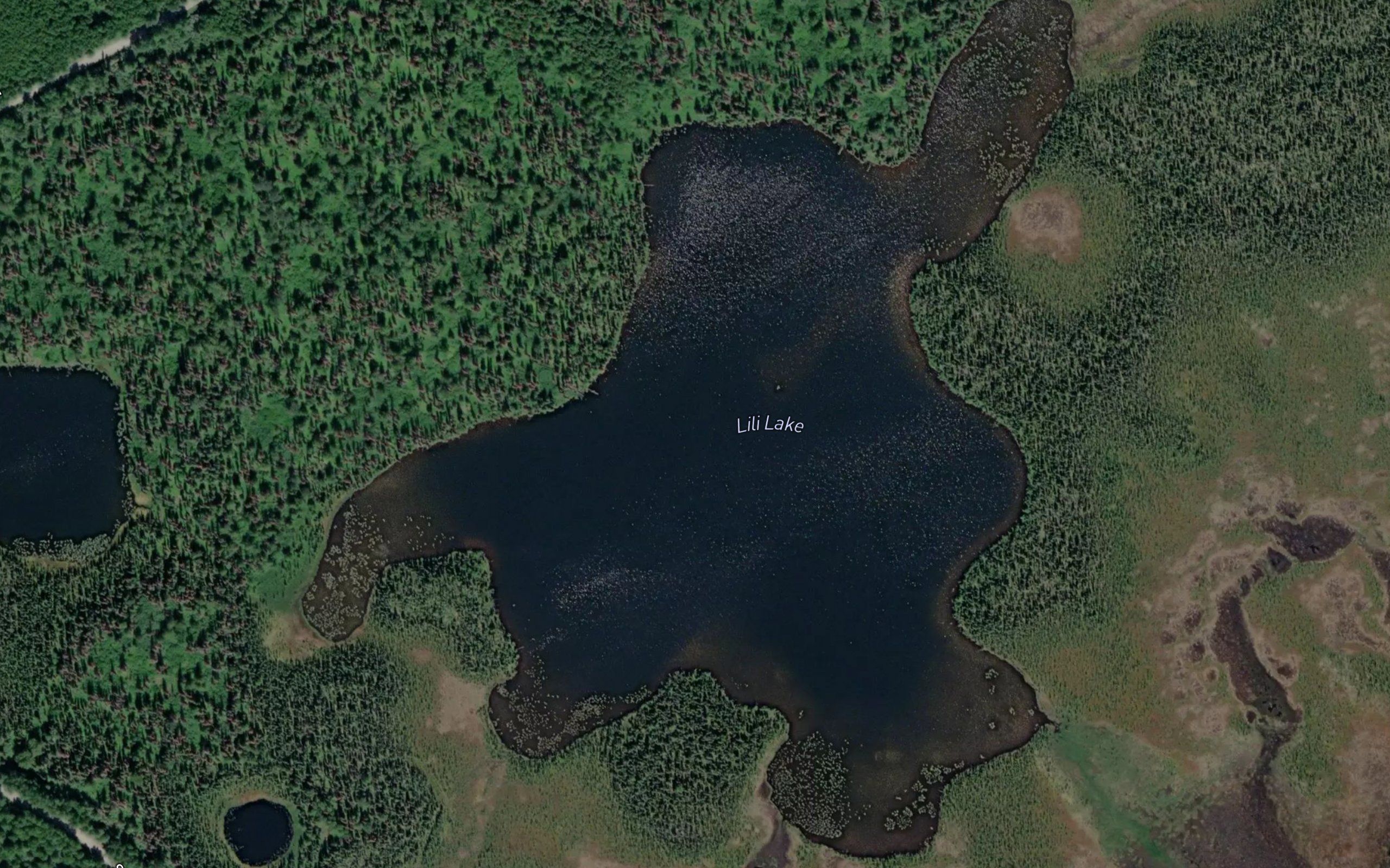 Lili Lake
