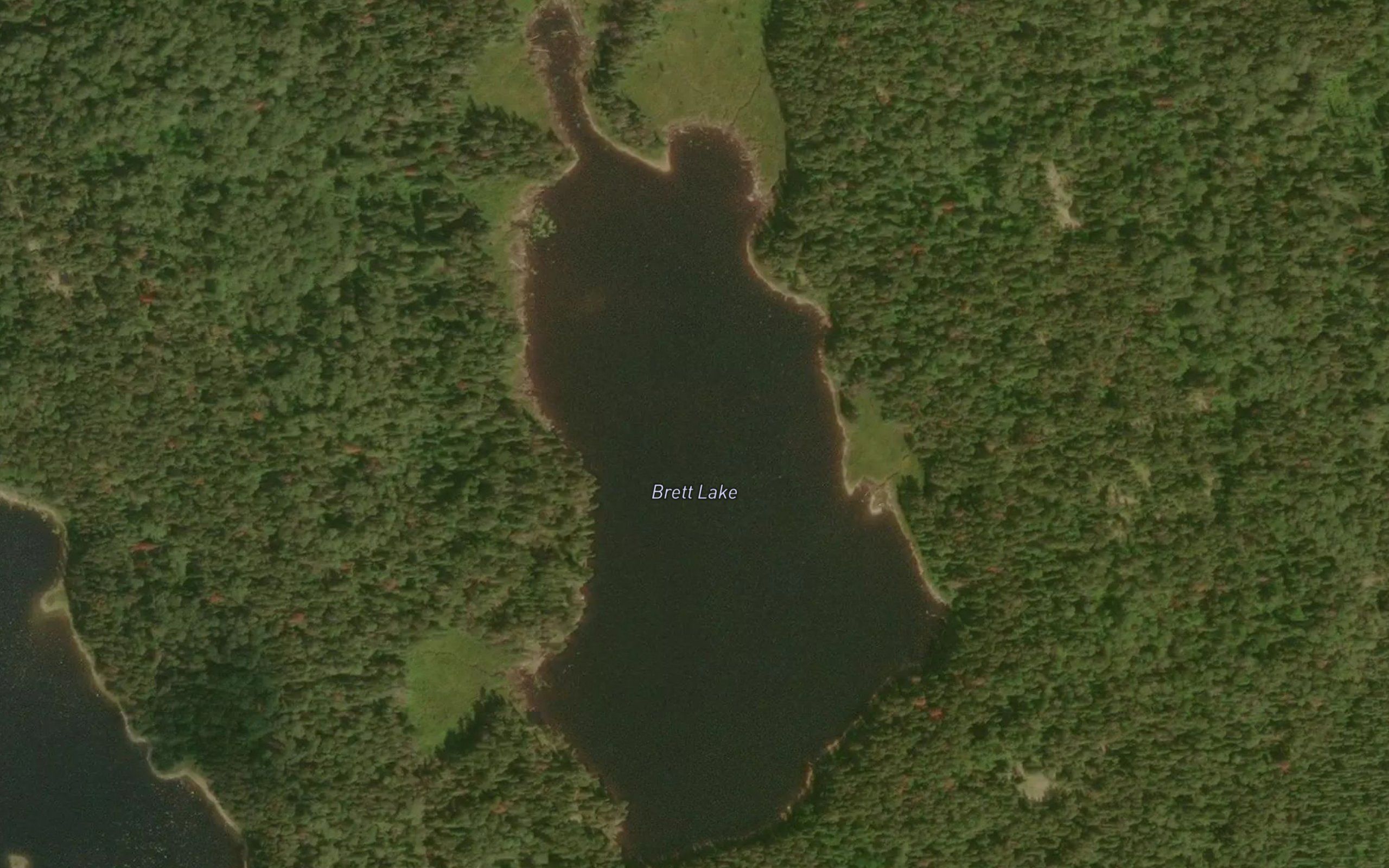 Brett Lake