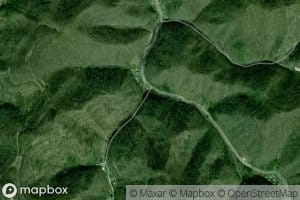 Cockerell Trace Branch