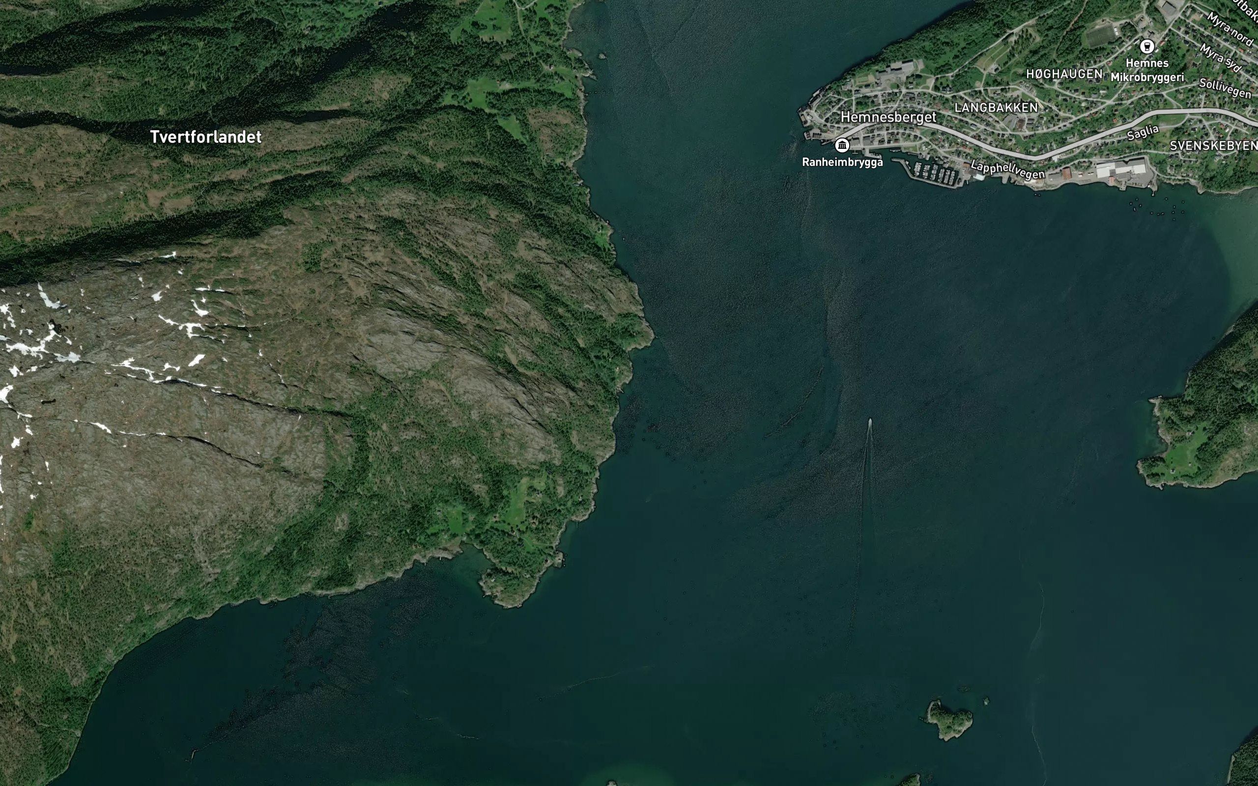 Blabaervika
