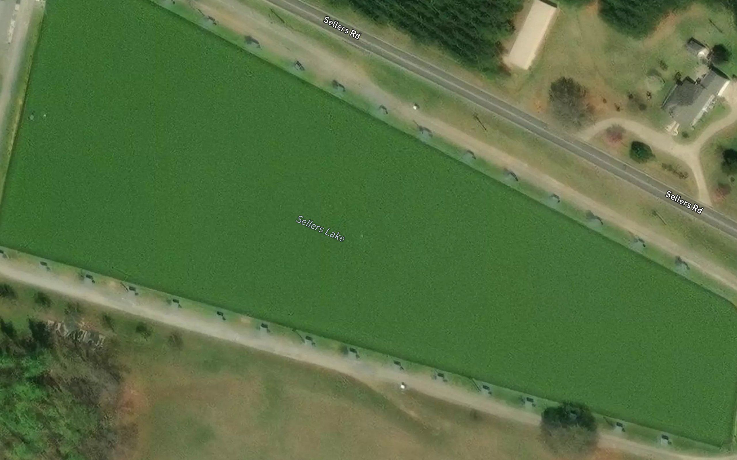 Sellers Lake