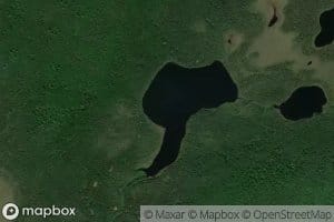 Lac Snyder