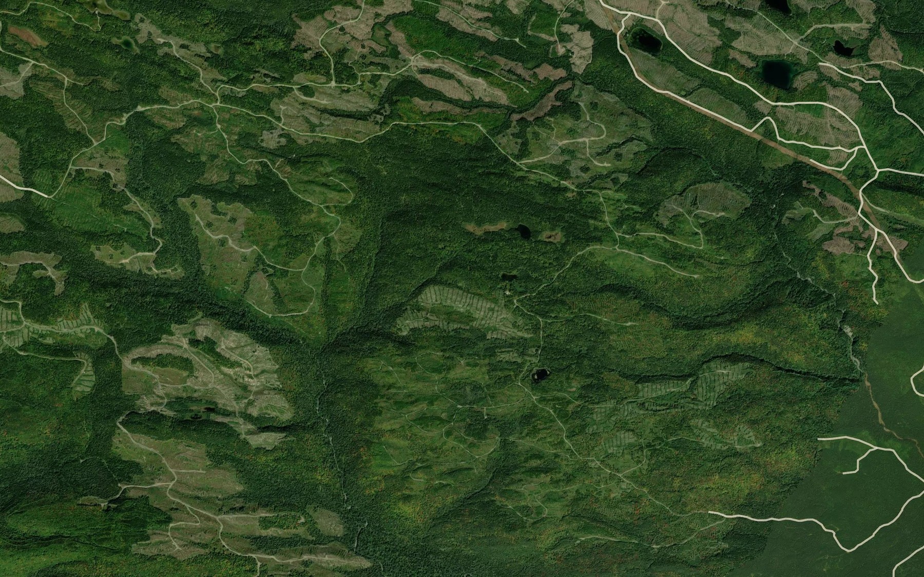Satellite map of the Lacs des Joncas