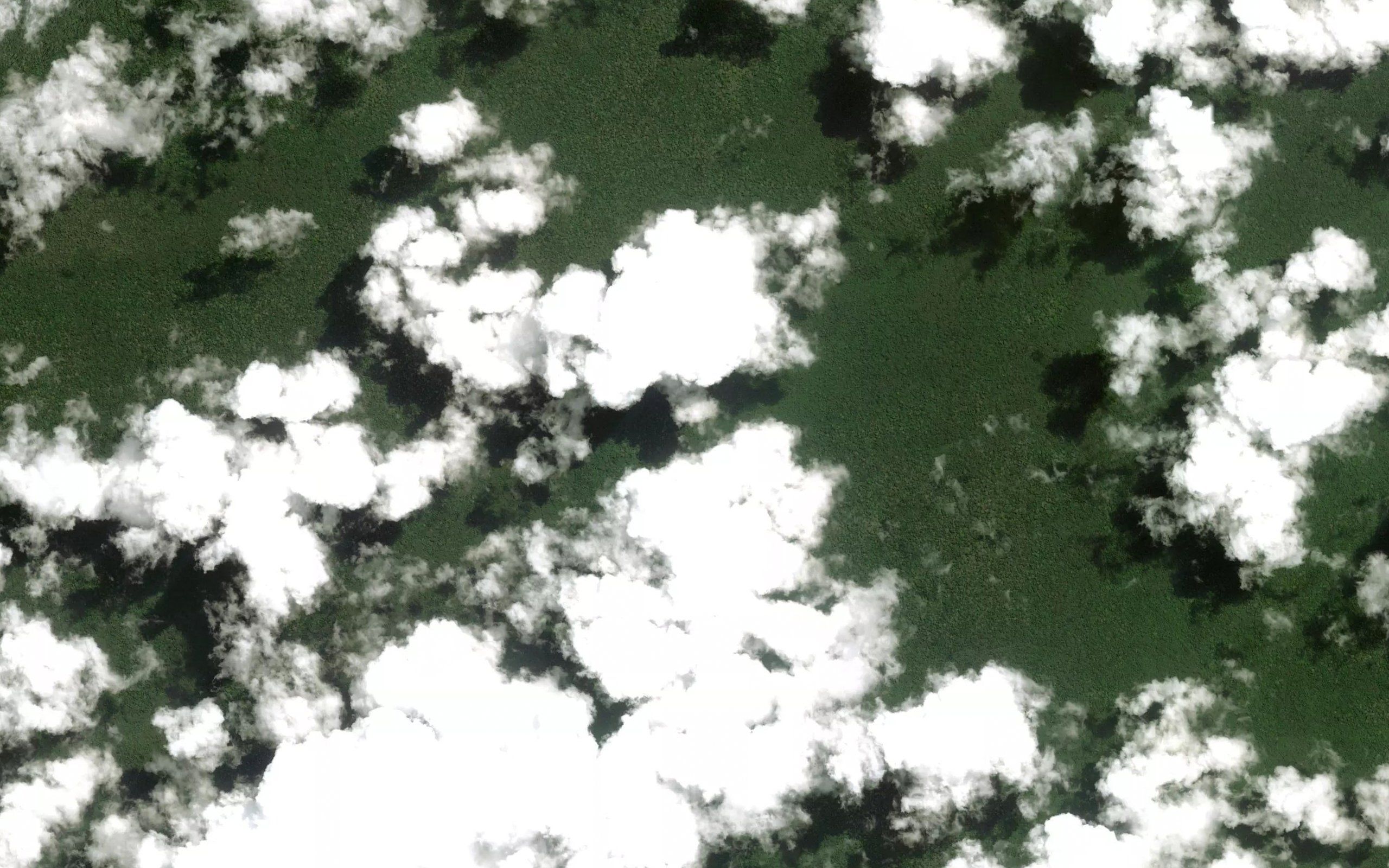 Nkono