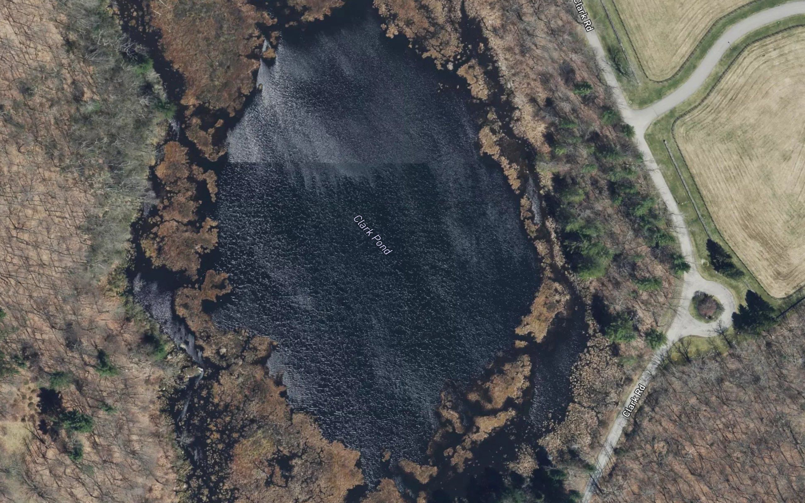 Clark Pond