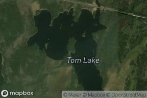 Tom Lake
