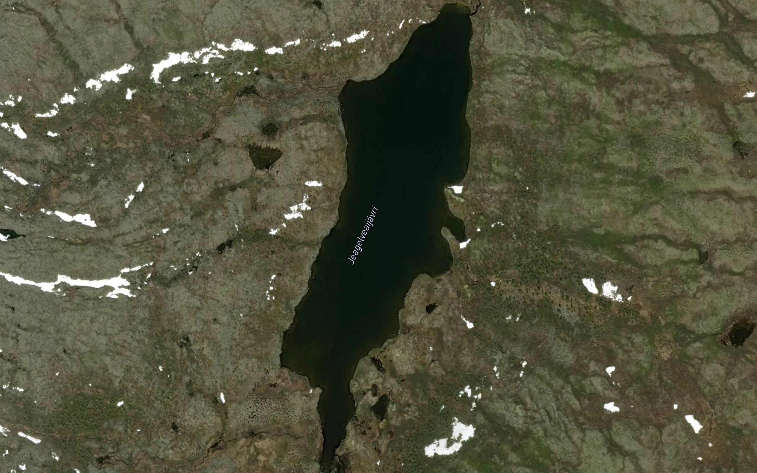 Jeagelveaijavri