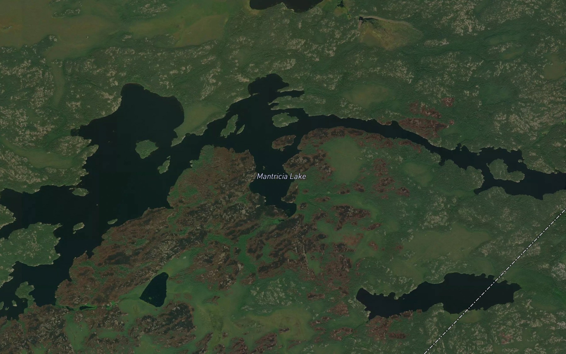Satellite map of the Mantricia Lake