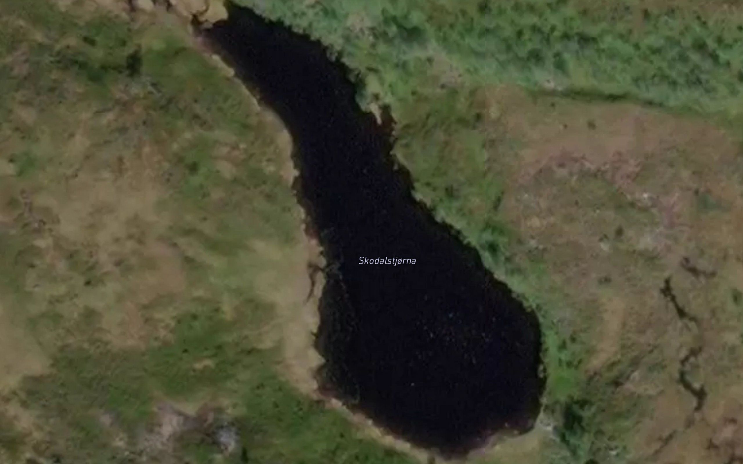 Skodalstjorna