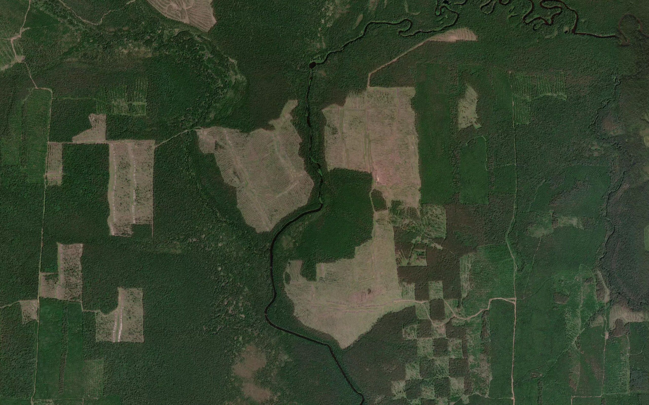 Porog Medvezhiy