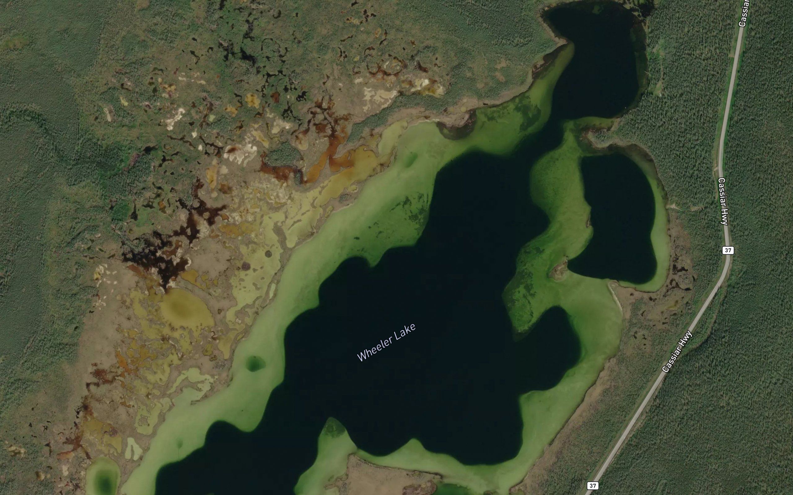Wheeler Lake
