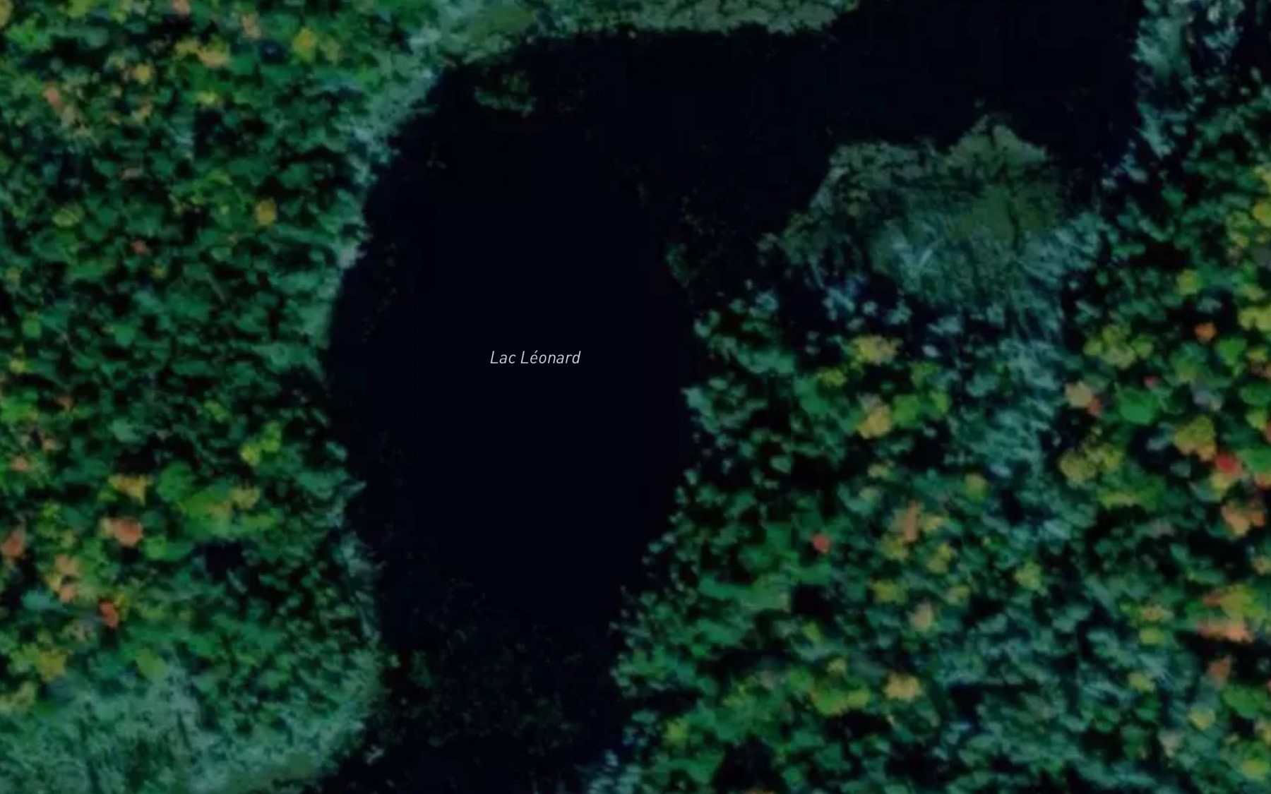 Satellite map of the Lac Leonard