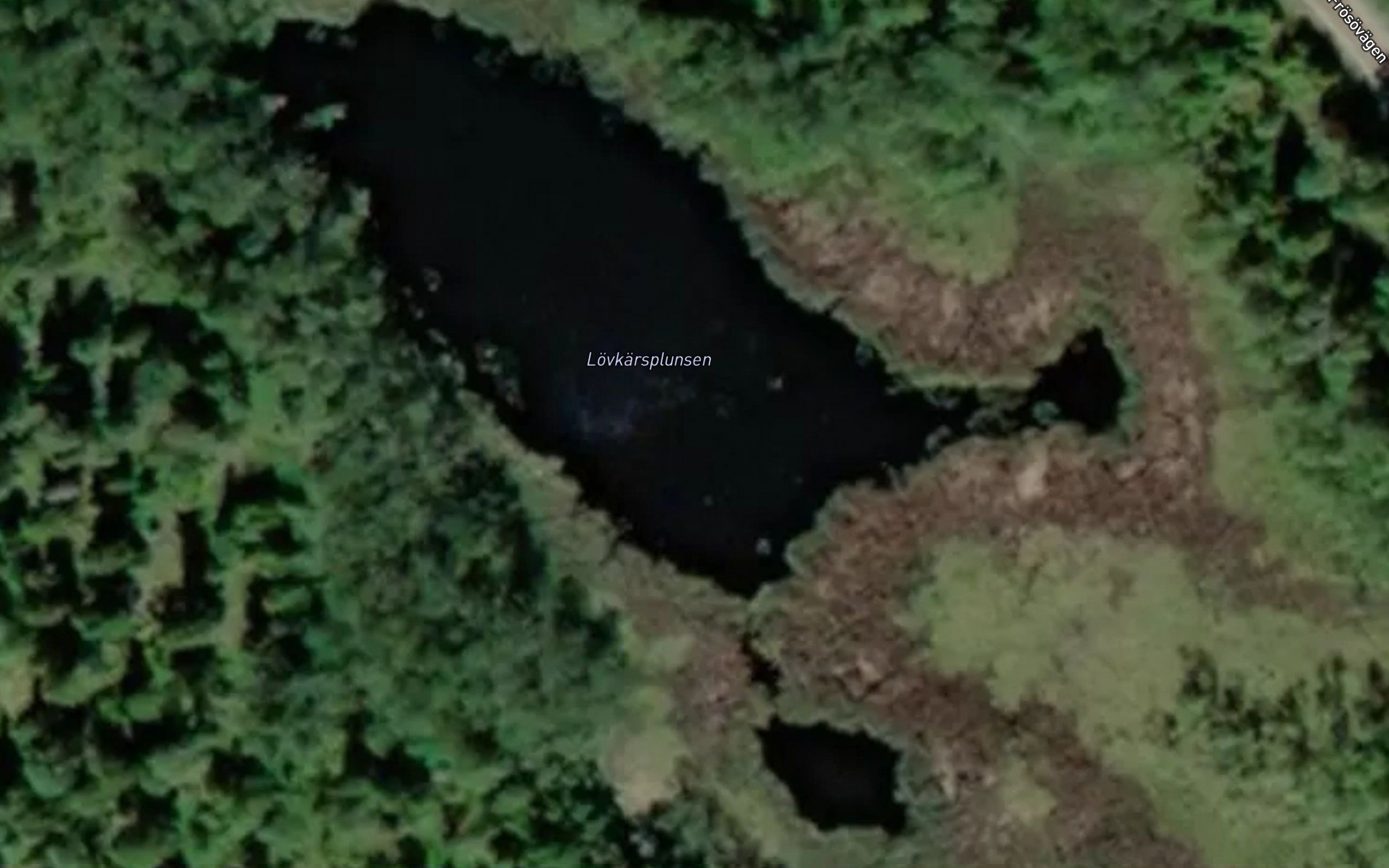 Lovskarsplunsen