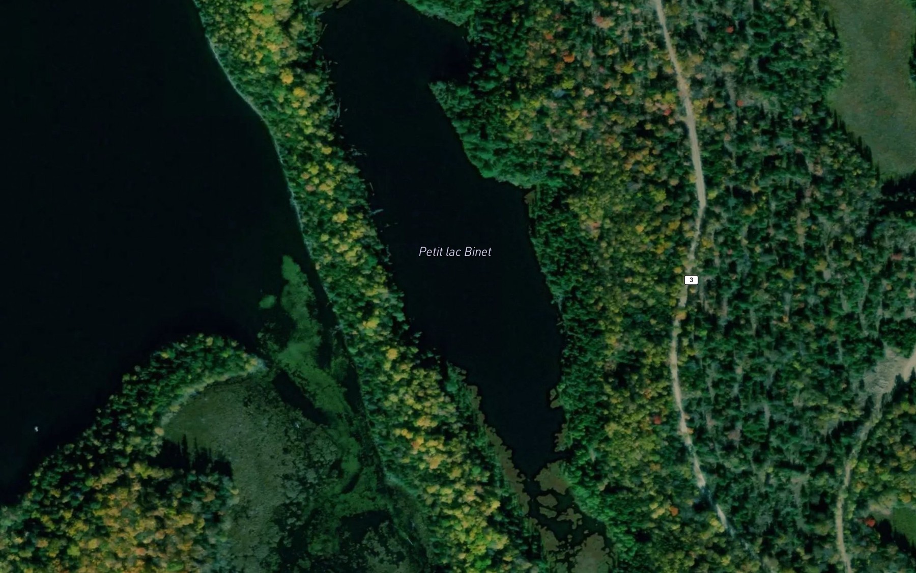 Satellite map of the Petit lac Binet